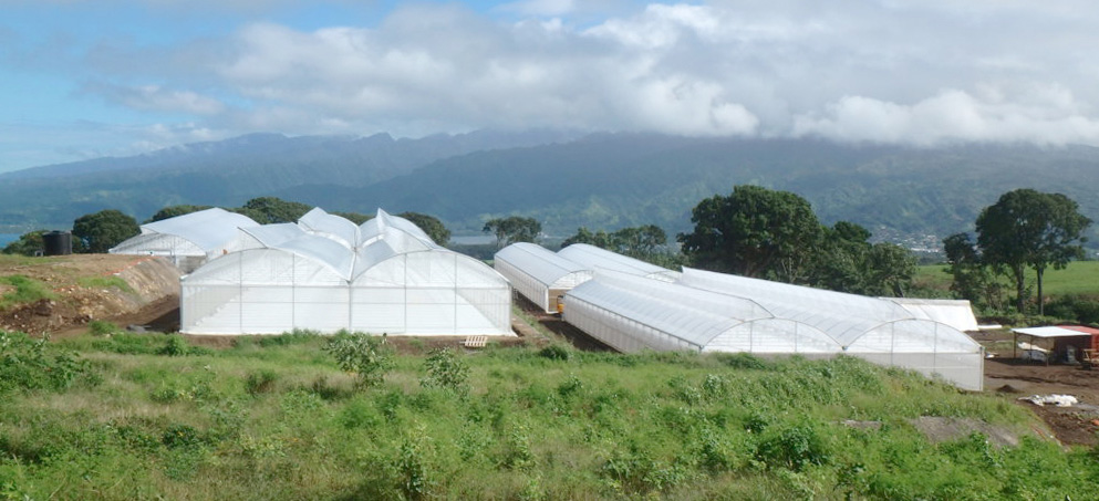 filets de protection agricole